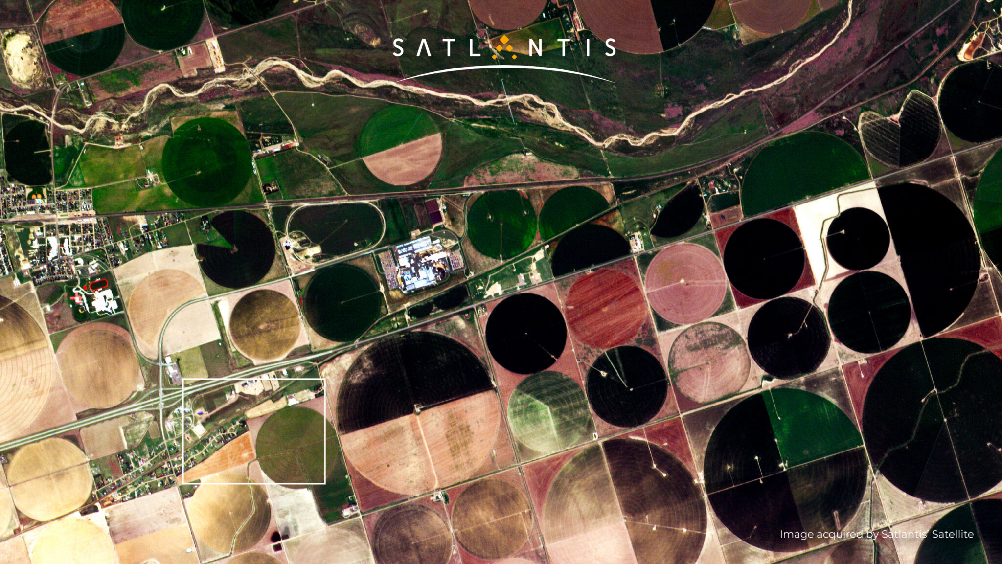 Image of the week-52